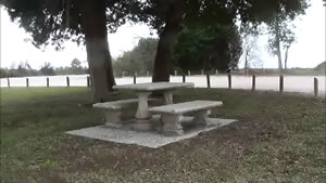 Picnic table at Jekyl Creek boat ramp picnic table at jekyll creek boat ramp